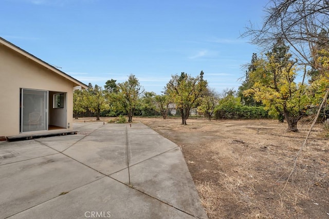 view of yard featuring a patio area