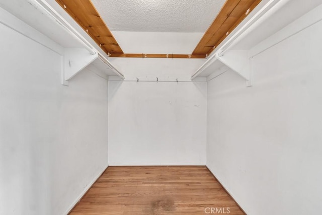 walk in closet featuring light wood-type flooring