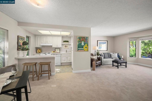 carpeted living room with sink and a textured ceiling