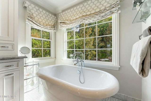 bathroom featuring ornamental molding, vanity, and a tub to relax in