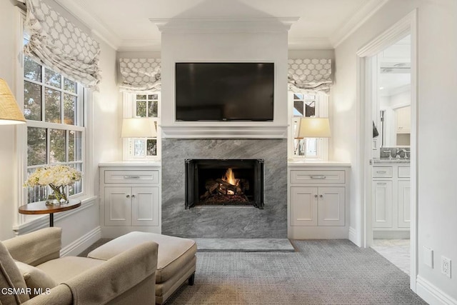 interior space featuring crown molding and a fireplace