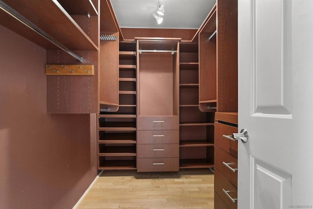 spacious closet featuring light wood-type flooring