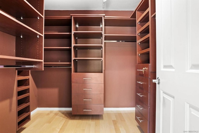 spacious closet featuring light hardwood / wood-style floors