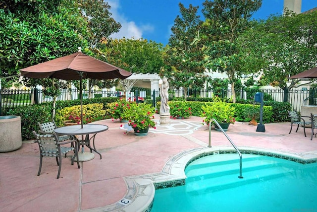 view of pool featuring a patio and a pergola