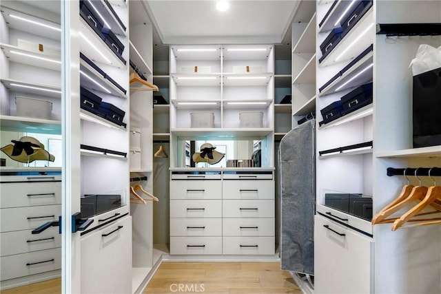 spacious closet with light hardwood / wood-style flooring