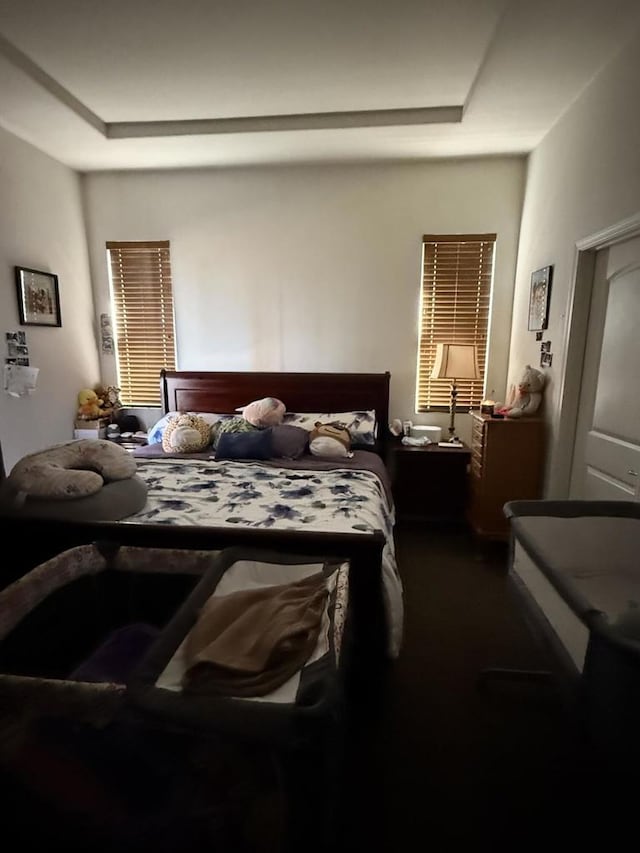 bedroom with a tray ceiling