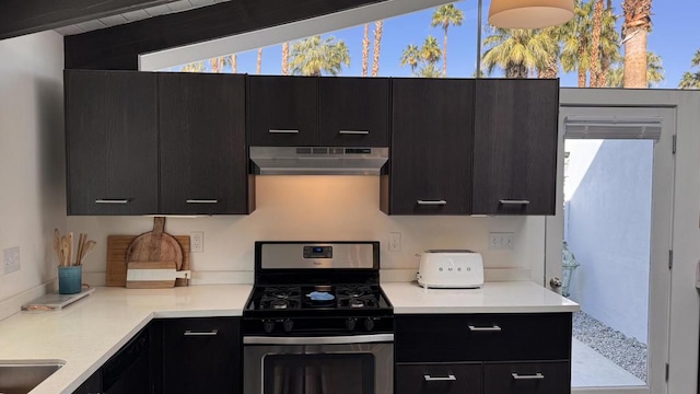 kitchen featuring dishwasher, a healthy amount of sunlight, and stainless steel gas stove