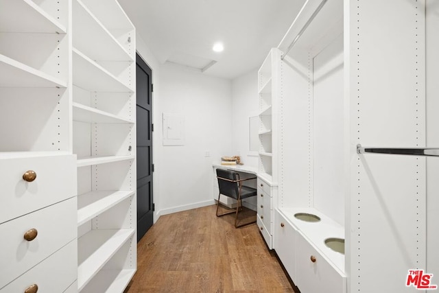 walk in closet featuring hardwood / wood-style flooring