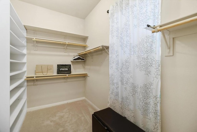 spacious closet featuring carpet flooring