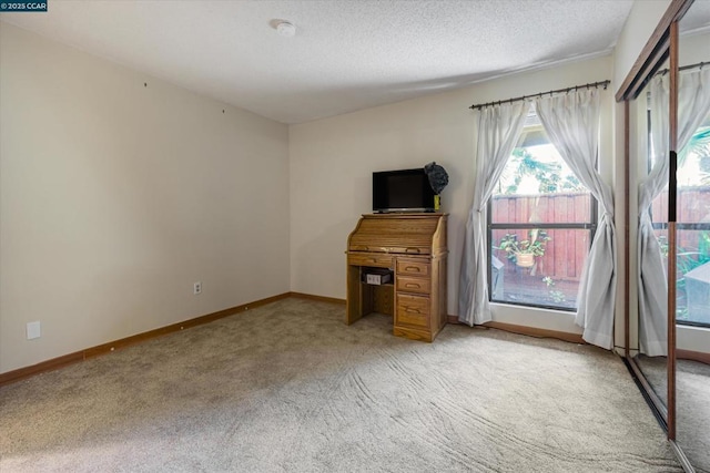 interior space featuring light colored carpet and a textured ceiling