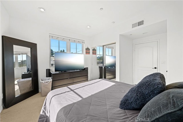 carpeted bedroom featuring a closet