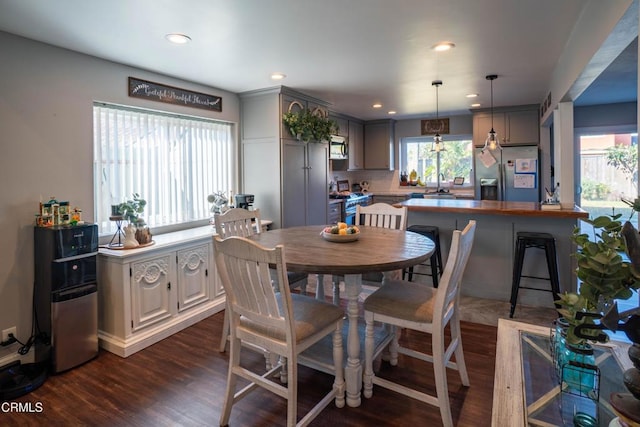 dining room featuring dark hardwood / wood-style floors