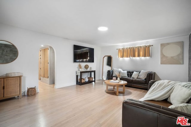 living room featuring light hardwood / wood-style flooring