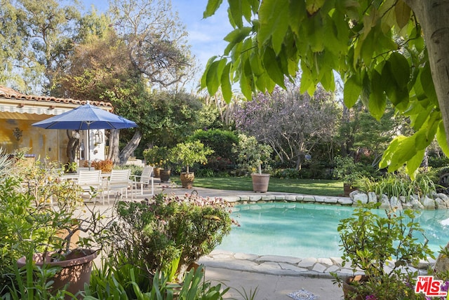 view of pool featuring a patio area