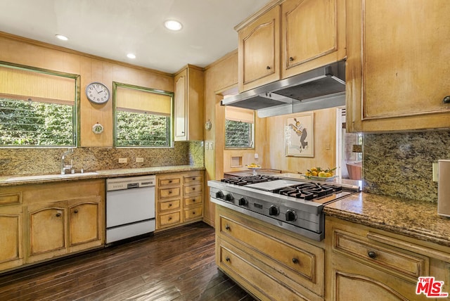 kitchen with stone countertops, dark hardwood / wood-style floors, stainless steel gas stovetop, dishwasher, and sink