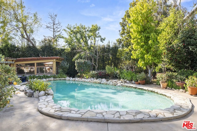 view of swimming pool