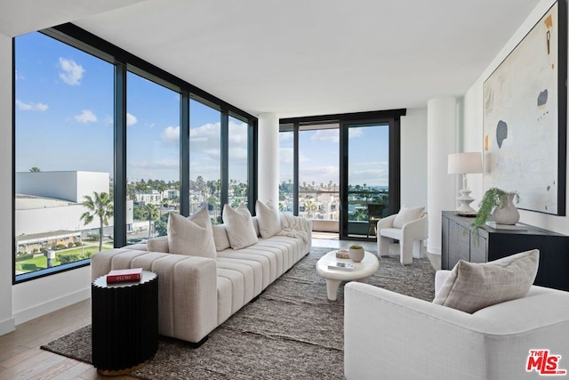 living room featuring expansive windows and wood-type flooring