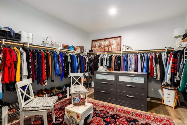 spacious closet with hardwood / wood-style flooring