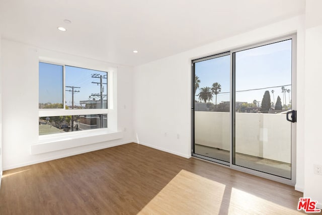 empty room featuring wood-type flooring