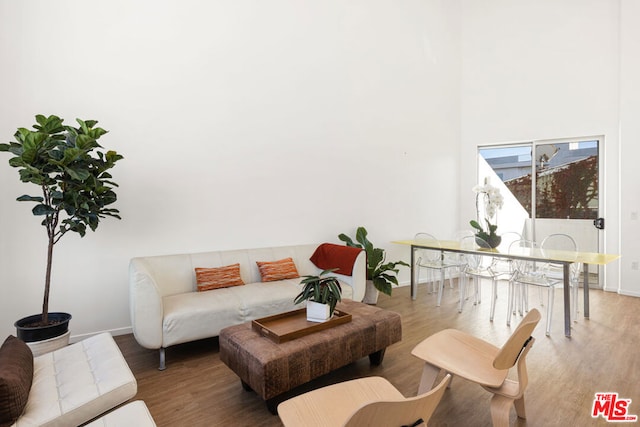 living room featuring wood-type flooring