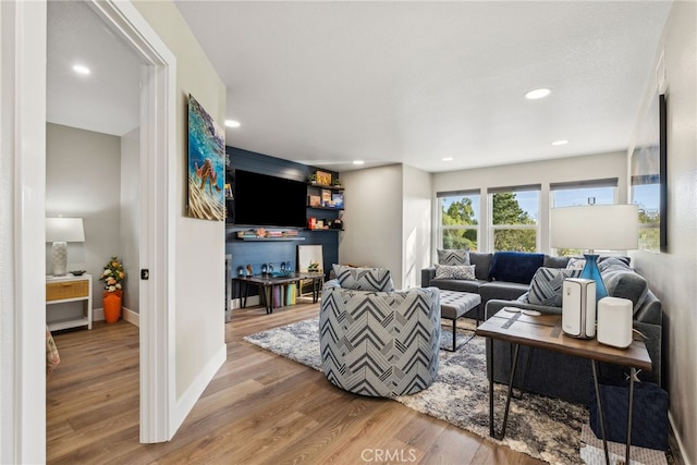 living room featuring hardwood / wood-style flooring