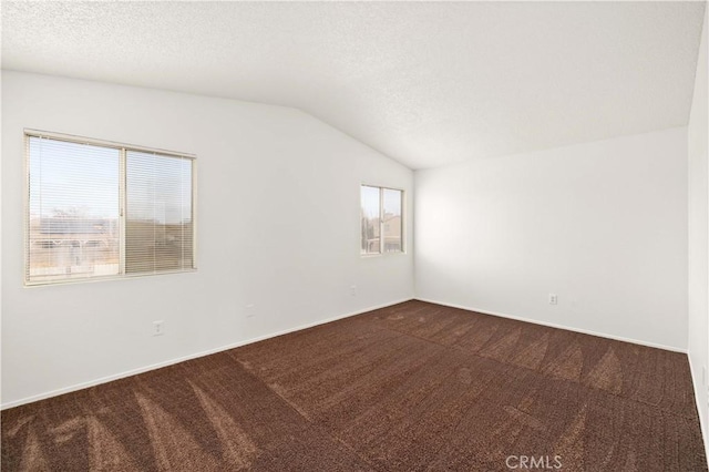 spare room with vaulted ceiling, carpet, and a textured ceiling