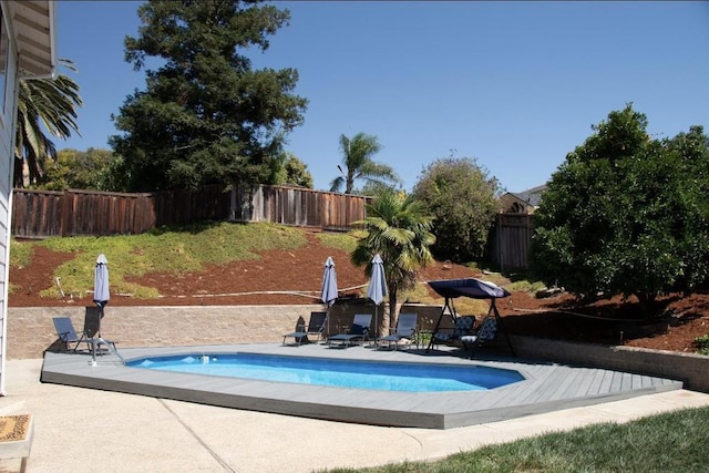 view of swimming pool with a patio area