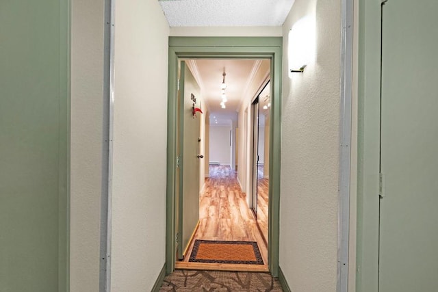 hall with light hardwood / wood-style flooring