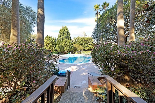 view of swimming pool with a patio