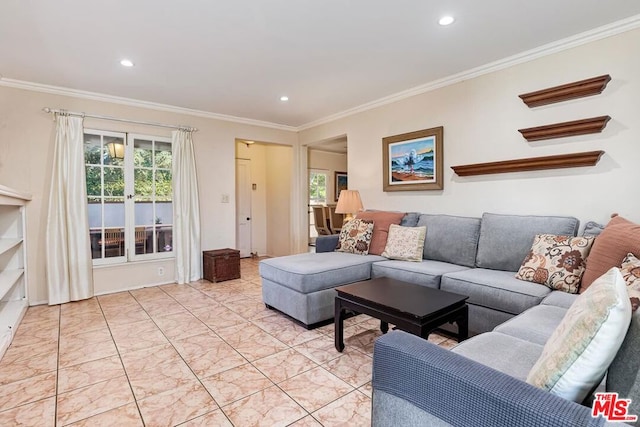 living room featuring crown molding and a healthy amount of sunlight