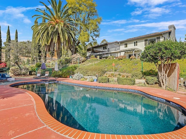 view of pool featuring a patio area