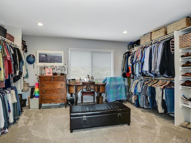 spacious closet with light colored carpet