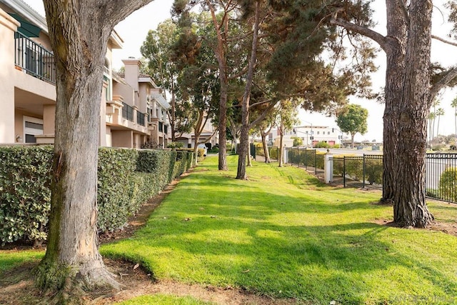 view of home's community with a yard