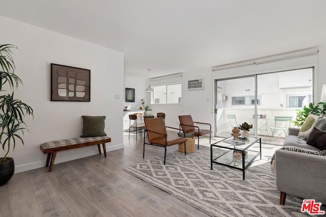 living room featuring wood-type flooring and a wall mounted AC