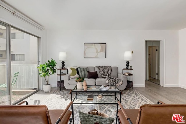 living room featuring light hardwood / wood-style floors