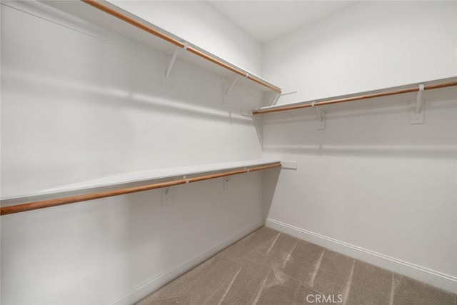 walk in closet featuring light colored carpet