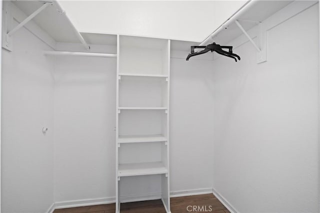 3738 Harrison St Unit 31, Riverside, CA 92503 - walk in closet featuring dark wood-style flooring