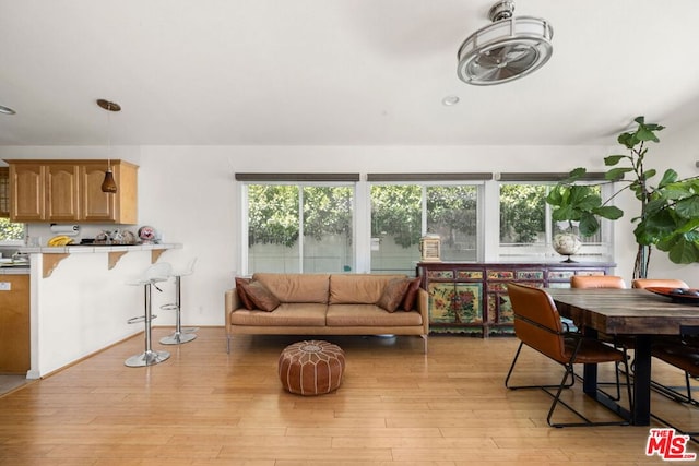 living room with light hardwood / wood-style floors