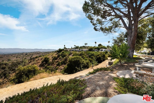 view of yard featuring a mountain view