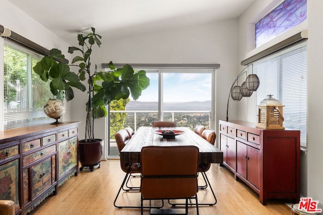 dining space featuring light wood-type flooring