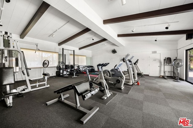 workout area featuring track lighting, plenty of natural light, and vaulted ceiling