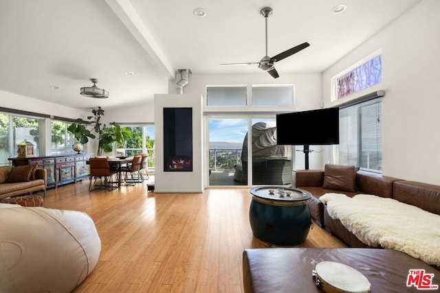 living room featuring ceiling fan, beam ceiling, and light hardwood / wood-style flooring