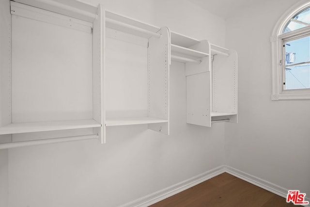 walk in closet featuring dark wood-type flooring