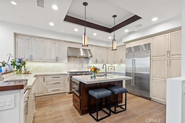 kitchen featuring ventilation hood, sink, high end appliances, a tray ceiling, and a center island with sink