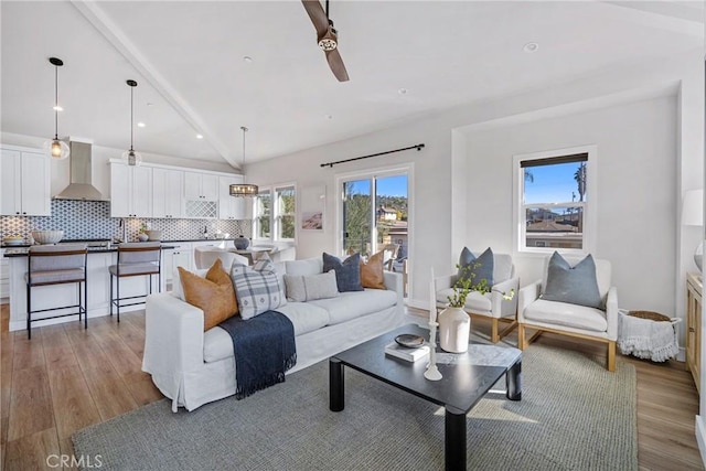 living room with lofted ceiling and light hardwood / wood-style flooring