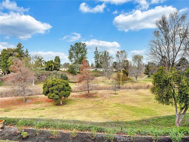 view of yard with a rural view