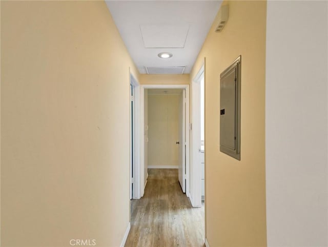 hallway featuring electric panel and light hardwood / wood-style floors