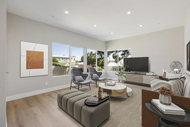 living room with light hardwood / wood-style flooring