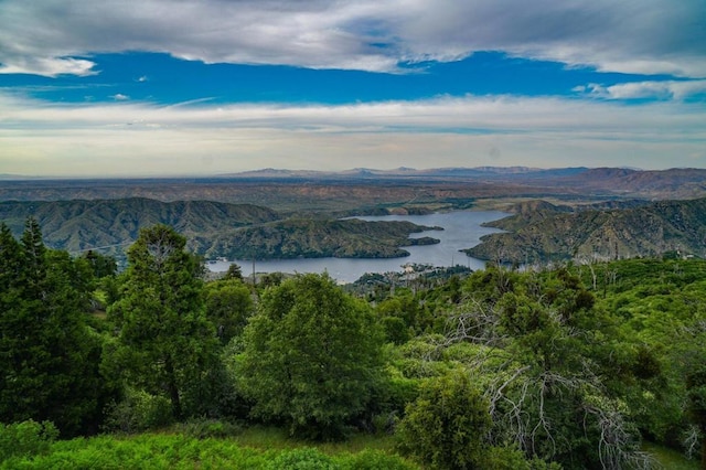 aerial view with a water and mountain view