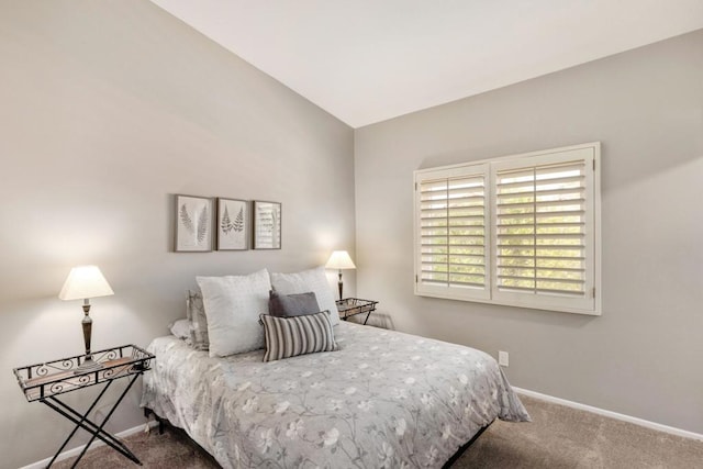 bedroom featuring carpet floors